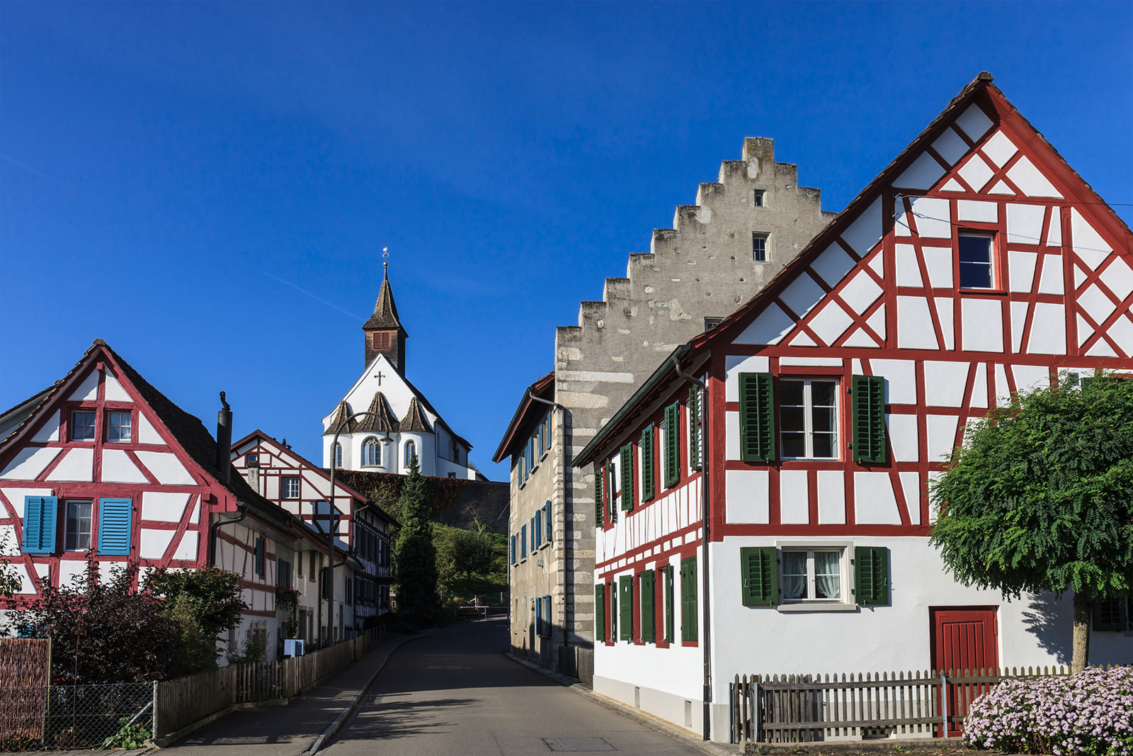 rheinau.jpg